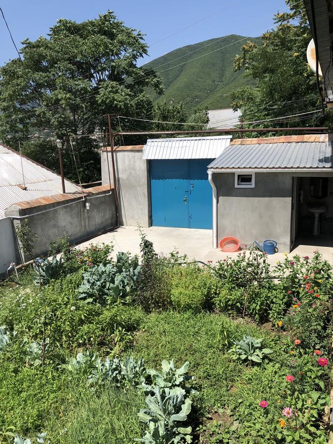 Shaki Host House Acomodação com café da manhã Şǝki Exterior foto